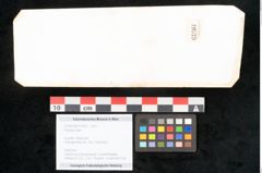 Foto (Objekt + Etikett) von Plantae indet.  (NHMW-GEO-2024-0188-11639)